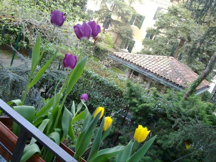 Appartamento Giudecca